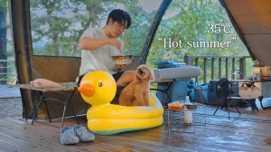 35℃ Одиночный кемпинг жарким летом с моей собакой . Уютный отдых в палатке . ASMR