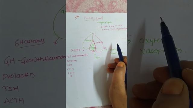 Pituitary gland and their secretions fr MCQ
