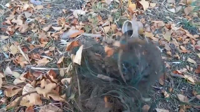 СБОР АЛЮМИНЕВЫХ БАНОК,ВДОЛЬ БЕРЕГА смотреть онлайн