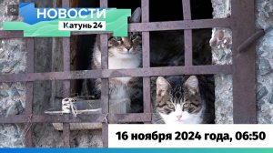 Новости Алтайского края 16 ноября 2024 года, выпуск в 6:50