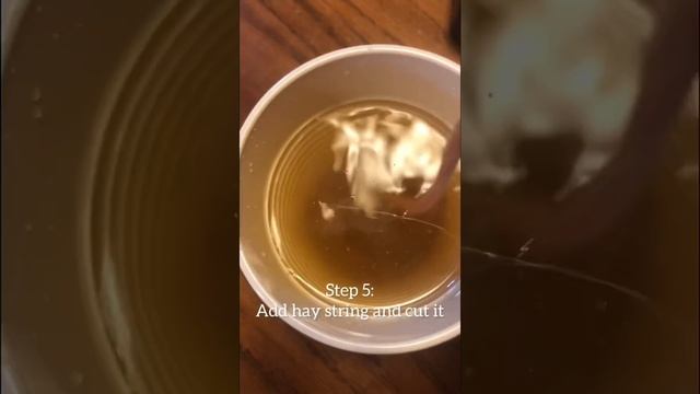 How to make horse popsicles! смотреть онлайн