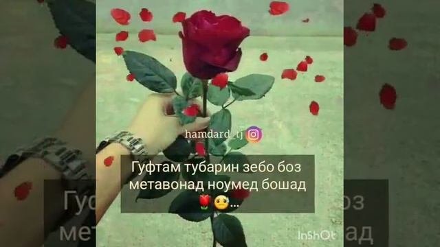 Орум Орум