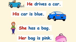 Pronouns  ( my-his-her-your-their-our)