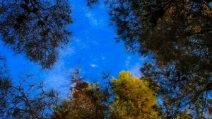 Популярная Аварская Песня Группа Эдельвейс.Зубаир Гельдаев Аварская песня (Цунта-Бежта)