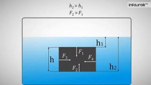 Действие жидкости и газа на погруженное в них тело  Физика 7 класс