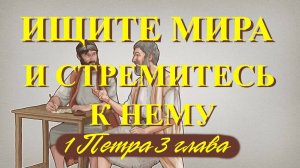 Ищите мира и стремитесь к нему  1 Петра 3 глава (обзор)