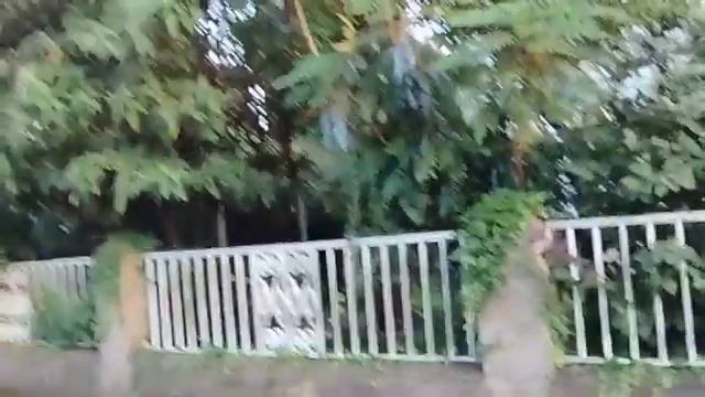 Что надо человеку для души?