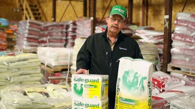 How Safeguard Works смотреть онлайн