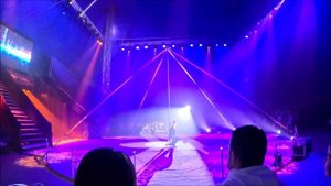 Цирковое шоу в сочи парк июль 2024