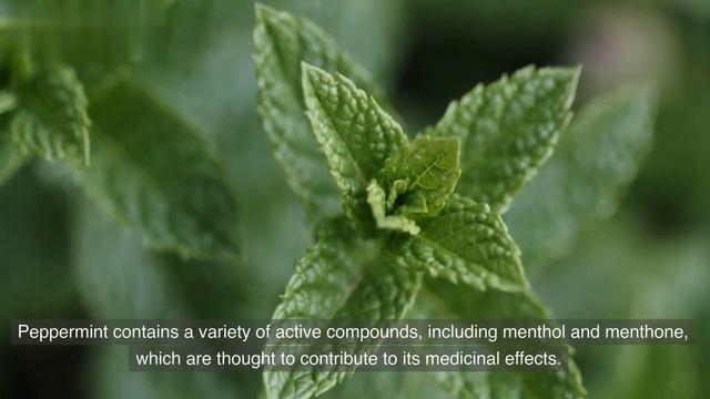 10 Medicinal Herbs for Natural Healing: Boost Your Health and Wellness Naturally смотреть онлайн