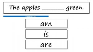 English grammar(am is are quiz)