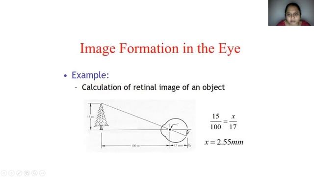 Elements of Visual Perception