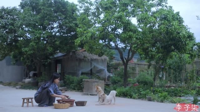 蛋黄酱：起沙滋油，咸鲜酥软 How to make Salted Duck Egg Yolk Sauce（Chinese Mayonnaise）| Liziqi Channel смотреть онлайн