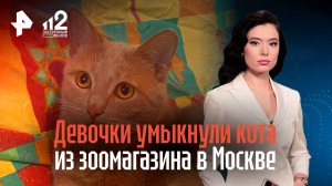 Девочки умыкнули кота из зоомагазина в Москве