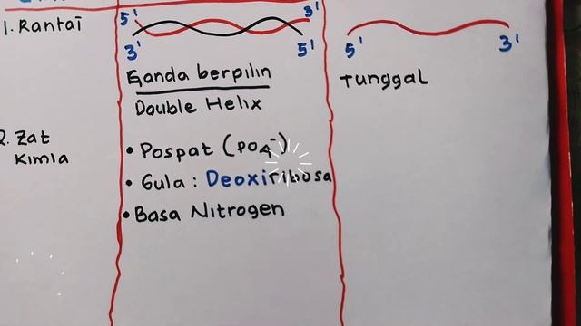 XII IPA SUBSTANSI GENETIKA -2 (GEN, DNA, RNA)
