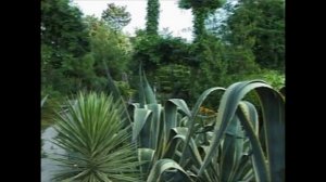 Сочи. Экскурсия.