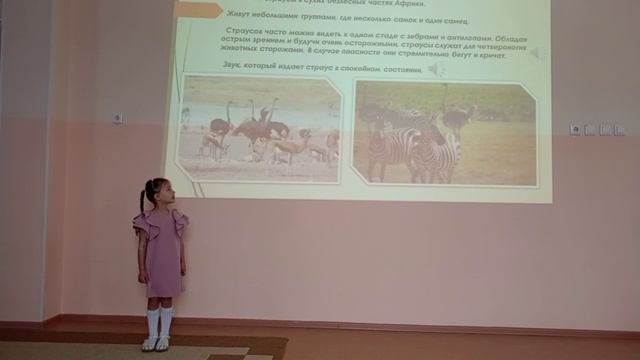 Безбородова Валерия