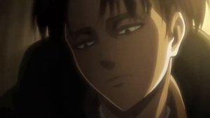 Леви твикстор