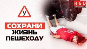 Сохрани Жизнь Пешеходу! ЭТО Должен Знать Каждый Водитель… [АвтошколаRED]