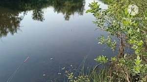 Рыбалка на ерике в начале августа. 03.08.2024.