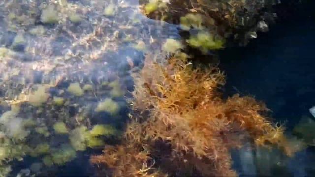 4 июля 2020 г. Дюрсо смотреть онлайн