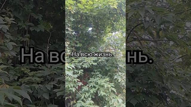 запомни#природа #жизнь #истина #мудрость #история #mrbeast #природа #юмор