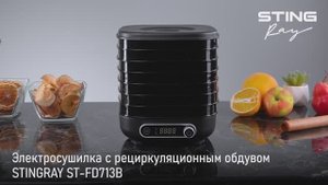 Электросушилка STINGRAY ST-FD713B