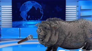 НОВОСТИ ШЛЯЙХ СФЕРЫ ЧАСТЬ 2 идея - @Schleich_dogs