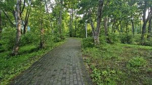 3 ФИШКИ ВЗАИМОДЕЙСТВИЯ С ЛЮДЬМИ. ИСКУССТВО ОБЩЕНИЯ.