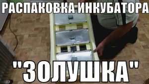 РАСПАКОВКА ИНКУБАТОРА "ЗОЛУШКА" 98 ЯИЦ АВТОМАТИЧЕСКИЙ ПЕРЕВОРОТ/СТРОИМ ЖИЗНЬ