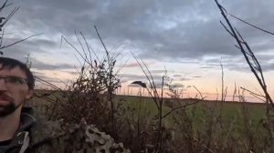 Охота на гуся Прямая трансляция с камеры #GoPro