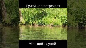 24 июня 2024 г.