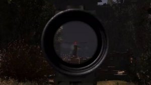 STCoP Weapon Pack 3.1 - Открытые прицелы