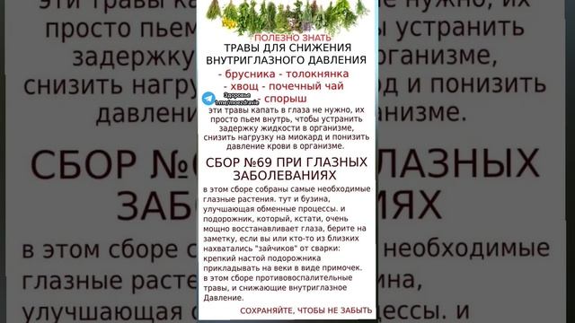 полезно знать травы для снижения внутричерепного давления #народнаямедицина #здоровье #зож смотреть онлайн