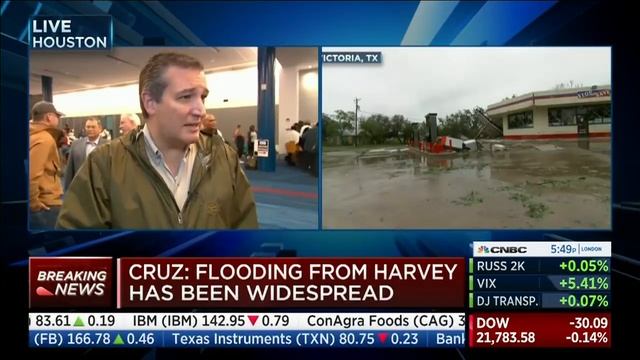 Sen. Cruz on CNBC - August 28, 2017 смотреть онлайн