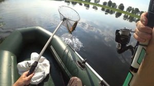 ЛОВЛЯ ГОЛАВЛЯ НА КУЗНЕЧИКА. Трудовая рыбалка на голавля.