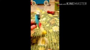 Майя хи, майя ху, майя хо! &-&