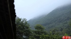 The life of cucumbers黄瓜的一生丨Liziqi Channel