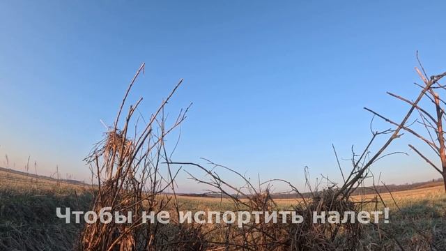 Проверка документов на охоте