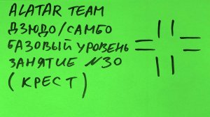 Дзюдо / Самбо базовый уровень, занятие 30 (Удушающий крестом)
