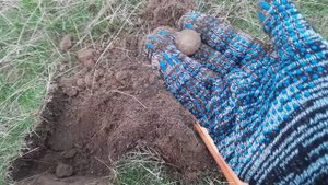 Первое видео 2024 года.