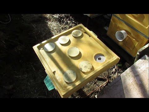 результат зимовки пчел на воле в 12 рамочном улье на 2 корпусах - ставлю проставочное дно и воду смотреть онлайн