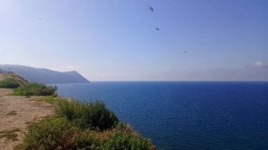 Море. Отпуск