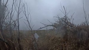 Охота на гуся 2024