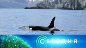 «Сегодня»: 15 ноября 2024 года. 16:00 | Выпуск новостей | Новости НТВ