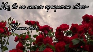 Gacha Клип {Дочь зла} {1 часть}