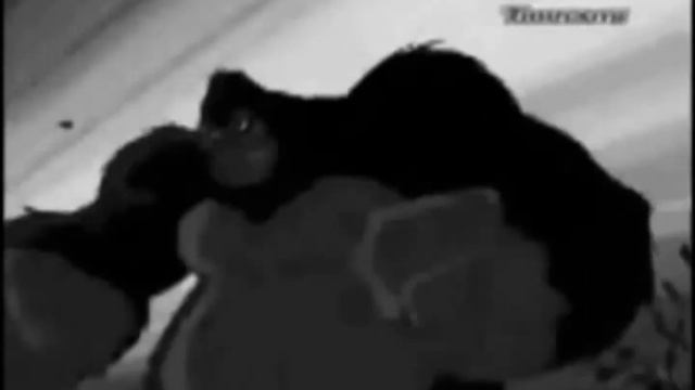 Beast Boy-I like it смотреть онлайн