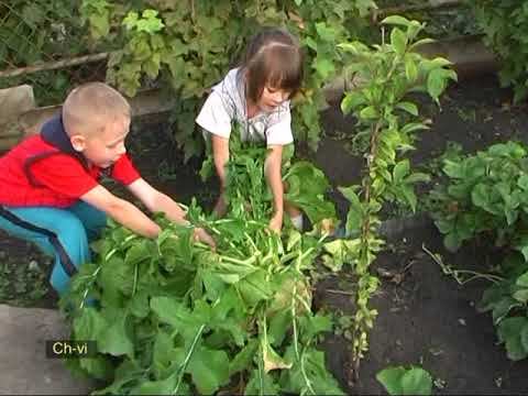 САД РЕПКА смотреть онлайн