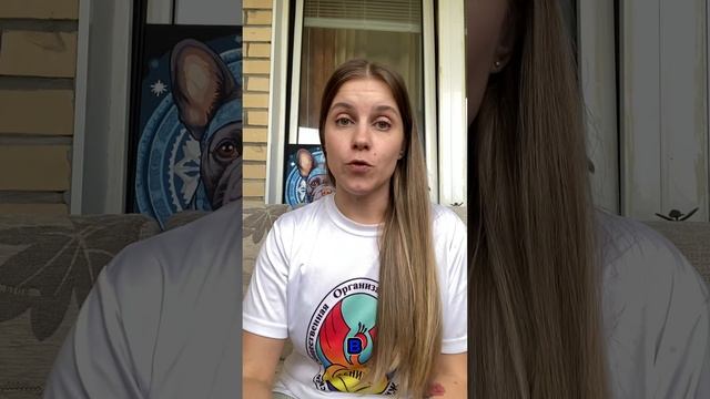 Истории волонтёров приюта  «Феникс» #волонтеры #волонтёрство  #добрыедела #интервью #помощьживотным