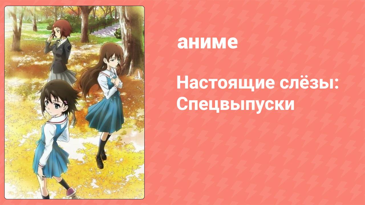 Настоящие слёзы: Спецвыпуски 1 серия (аниме-сериал, 2008)